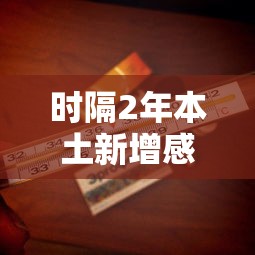 【重磅来袭】“微乐麻将秘籍大全(透视)”开挂(透视)辅助教程