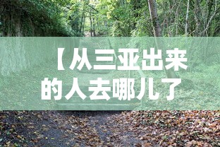 【揭秘一下】“福建微乐麻将输赢规律”(果然有透视挂)