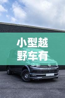 一分钟介绍应用“微乐家乡麻将老是输是什么原因”真可以装挂