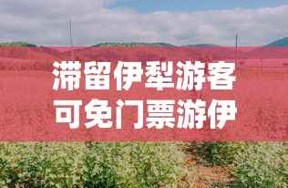 实测工具“微信微乐麻将开挂是不是真的	”辅助神器插件下载
