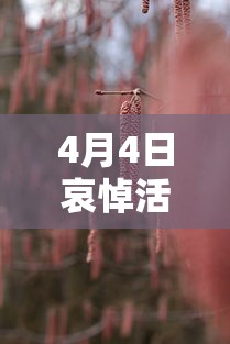 【第一发现】“微乐保皇怎么来好牌”(透视)开挂辅助脚本+详细开挂安装教程