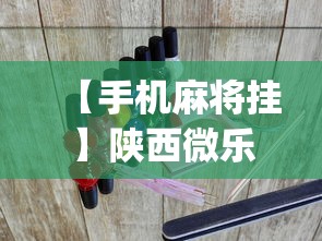 【手机麻将挂】陕西微乐三代辅助？_游戏_玩家_工具