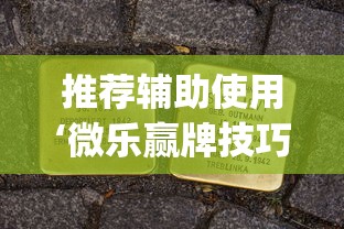 推荐辅助使用‘微乐赢牌技巧”(原来确实是有插件)